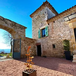 Domaine De Lejos - Portes D'albi Lamillarié